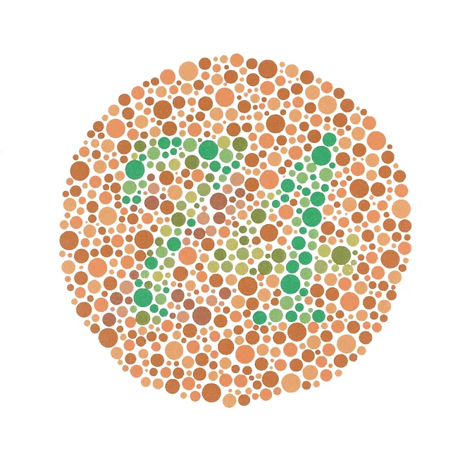 Katero število vidite?
