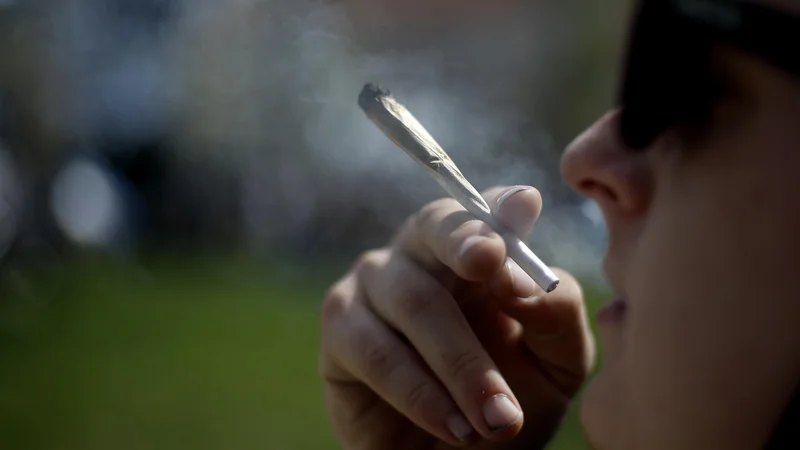 Fotografija: Med prebivalci Slovenije je najbolj razširjena droga konoplja, vendar zaradi nje do danes ni umrl še nihče. FOTO: Blaž Samec