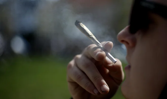 Med prebivalci Slovenije je najbolj razširjena droga konoplja, vendar zaradi nje do danes ni umrl še nihče. FOTO: Blaž Samec