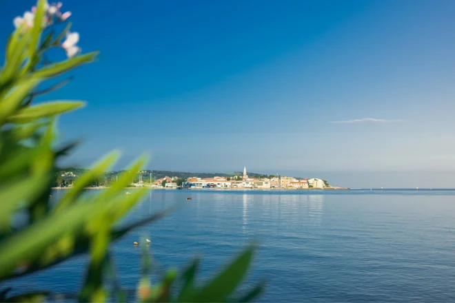 Pogled na Izolo od kje? FOTO: Vizitizola.si