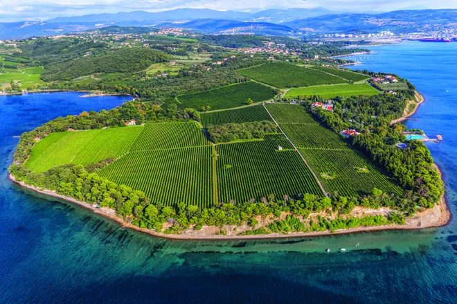 Na Ankaranskem polotočku obstaja tudi sredozemski park, po katerem se lahko sprehodite in si ogledate rastline z vseh celin. FOTO: Jaka Ivancic/Visitankaran.si