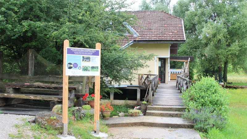Fotografija: Informacijski center, posvečen svetovni redkosti, črni človeški ribici, je na kmetiji Zupančič v Jevševniku. FOTO: Simona Fajfar