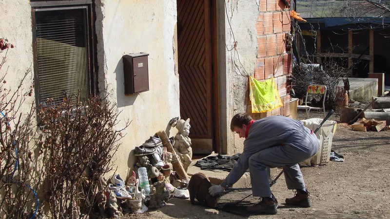 Fotografija: Romsko naselje Žabjak v Novem mestu. FOTO: Bojan Rajšek/Delo