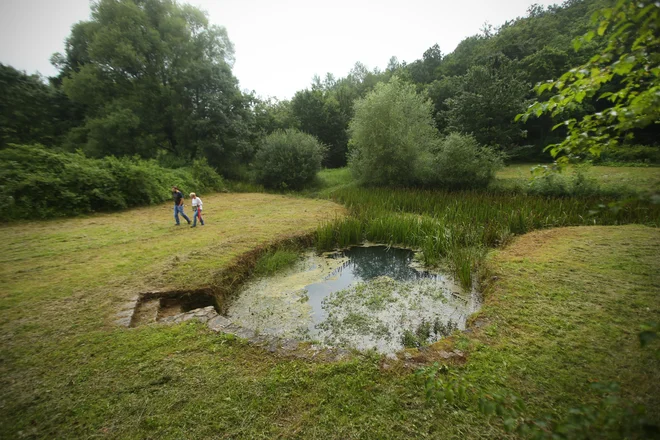 Krajinski park Lahinja je območje v povirju reke Lahinje. FOTO: Jure Eržen/Delo 