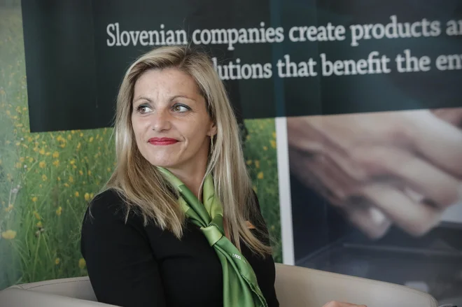 Največ povpraševanja potencialnih investitorjev je iz Nemčije, Avstrije, Italije in Japonske, pravi direktorica Spirita Ajda Cuderman. FOTO: Uroš Hočevar/Delo