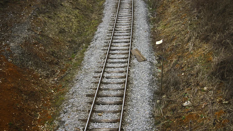 Fotografija: Ministrstvu za infrastrukturo pričakujejo, da se smernice evropske komisije upoštevajo pri vseh javnih razpisih in dodajajo, da si želijo, da bi čim prej prišlo do začetka glavnih gradbenih del. FOTO: Jože Suhadolnik