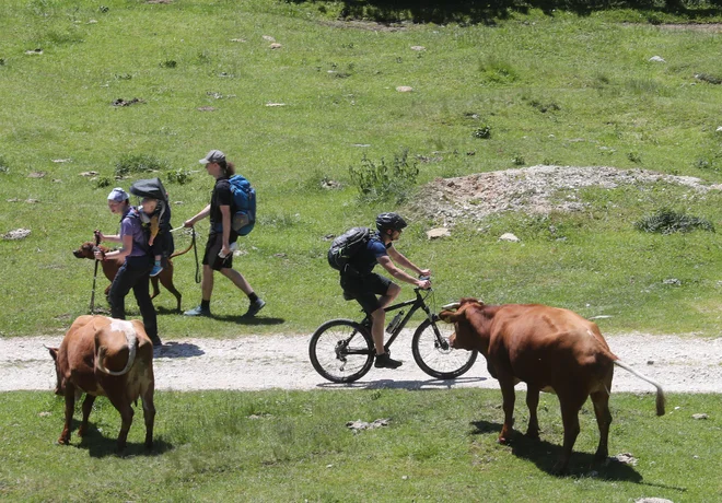 Vadba je redna, če je večkrat na teden in to vsaj nekaj časa, lahko bi rekli, da je vadba redna, ko postane navada. FOTO: Dejan Javornik