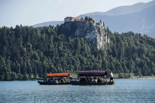 Bon bo mogoče porabiti do 31. decembra letos. FOTO: Uroš Hočevar/Delo