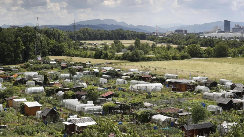 Fotografija: V Stegnah je na njivah in poljih proti vodnemu črpališču v Klečah in proti Savljam pravo vrtičkarsko velemesto. FOTO: Leon Vidic/Delo