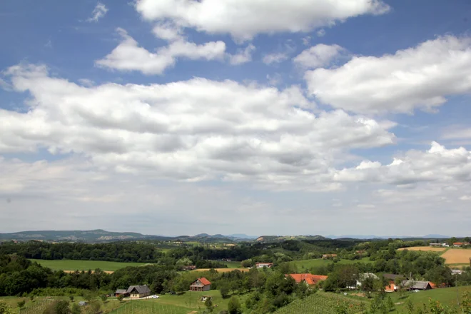 ni podpisa