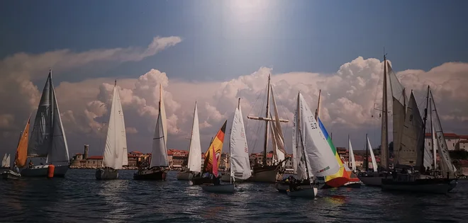 Regata lesenjač pred Piranom. FOTO: Ubald Trnkoczy