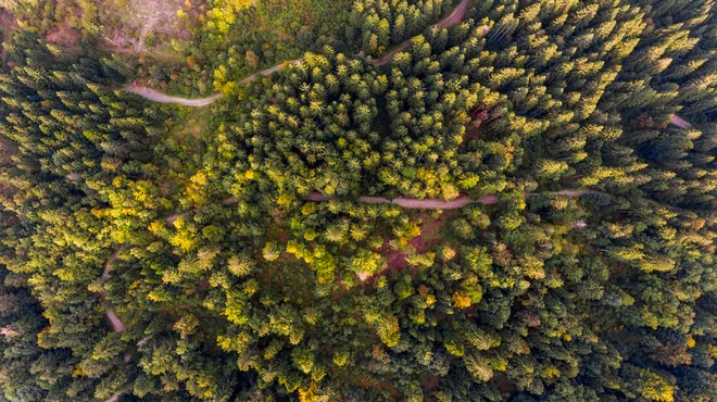 Nacionalni in certifikacijski program Zelena shema slovenskega turizma pod krovno znamko Slovenia Green združuje vsa prizadevanja za trajnostni razvoj turizma v Sloveniji in s konkretnimi orodji izboljšuje in ocenjuje trajnostno delovanje destinacij in po