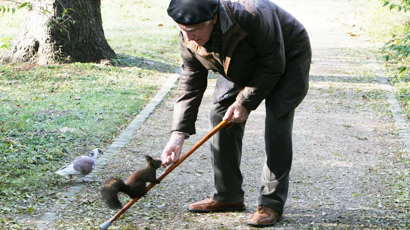 Fotografija: Poškodbe, ki se zgodijo starejšim doma in v prostem času, so že postale najpogostejši vzrok smrti zaradi nezgod. V prihodnje bo problem zaradi staranja prebivalstva še večji. FOTO: Igor Modic