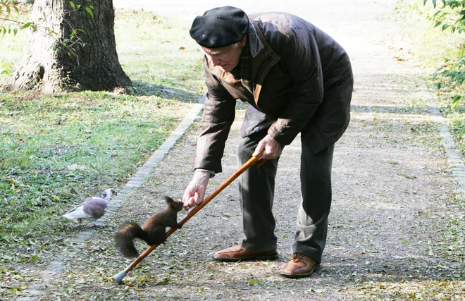 Poškodbe, ki se zgodijo starejšim doma in v prostem času, so že postale najpogostejši vzrok smrti zaradi nezgod. V prihodnje bo problem zaradi staranja prebivalstva še večji. FOTO:&nbsp;Igor Modic