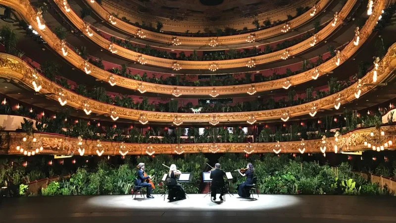 Fotografija: V operni hiši Gran Teatre del Liceu v Barceloni je godalni kvartet UceLi zaigral pred rastlinami, s katerimi so zapolnili 2292 sedežev. FOTO: arhiv Gran Teatre del Liceu