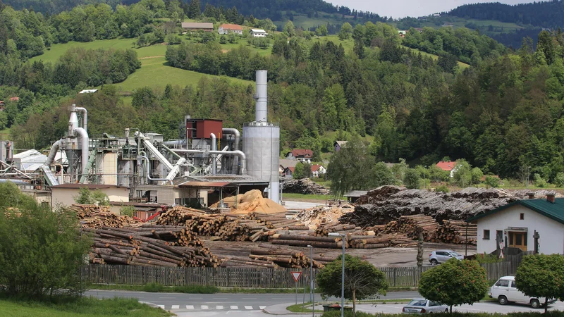 Fotografija: Turški lastniki tovarne so zagon proizvodnje napovedovali že lansko pomlad. Foto Tadej Regent