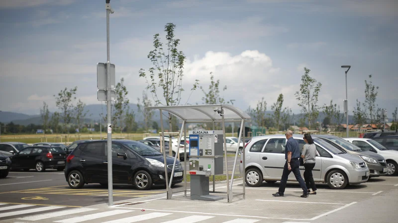 Fotografija: Na Žalah so odstranili skupino starih dreves in poskrbeli za novo ozelenitev z mladimi. FOTO: Jure Eržen/Delo