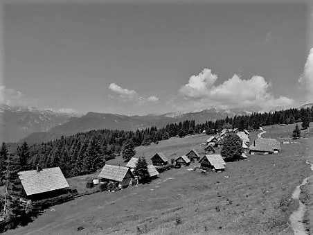 Zajamniki s koledarja. FOTO: Miroslav Cvjetičanin