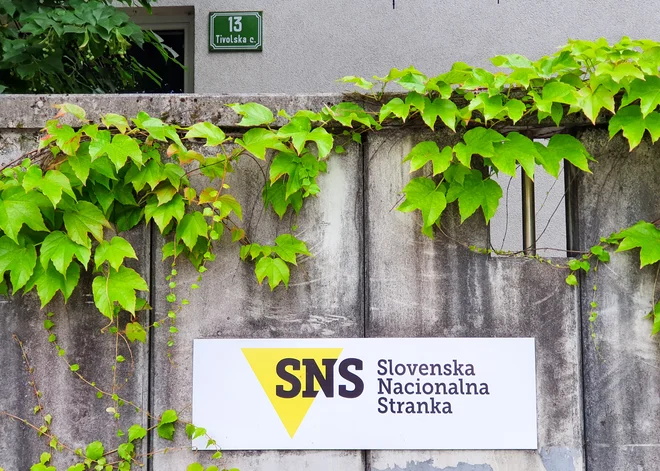 Hiša Zmaga Jelinčiča je tudi dom stranke SNS. FOTO: Marko Feist/Slovenske novice
