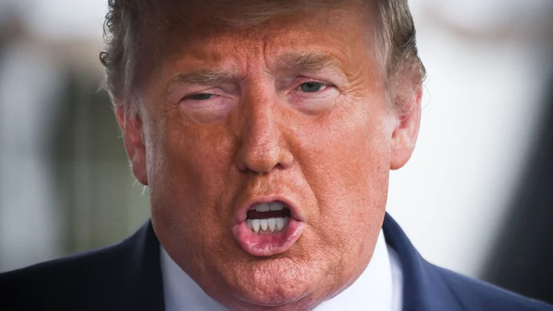 Donald Trump se trudi, da knjiga njegove nečakinje Mary sploh ne bi ugledala luči sveta. FOTO: Eric Baradat/AFP