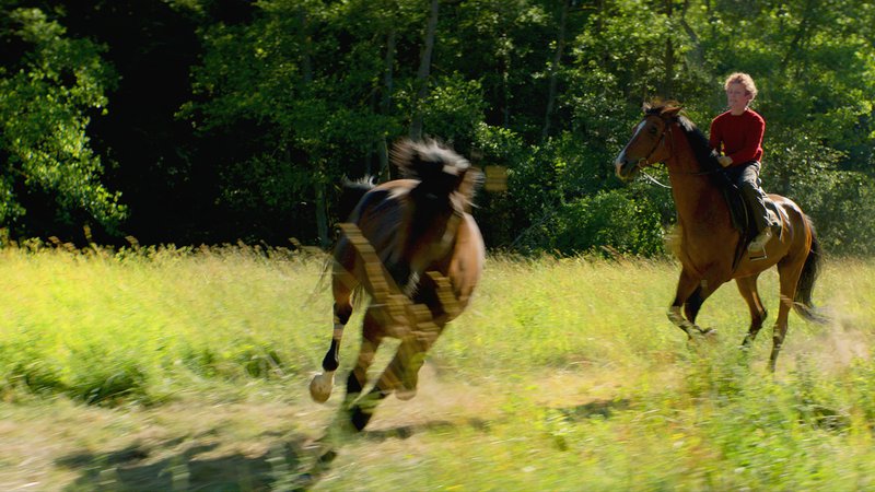 Fotografija: Trond jezdi divje konje, ki so zaznamovali njegovo življenje.
Foto promocijsko gradivo