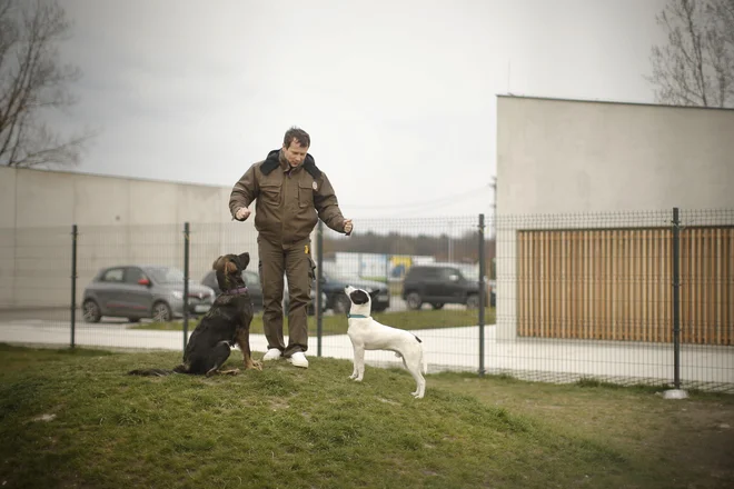 V času epidemije so lahko oboleli ljudje ali tisti, ki niso zmogli skrbeti zanje, svoje ljubljenčke pripeljali v Gmajnice. FOTO: Jure Eržen/Delo
