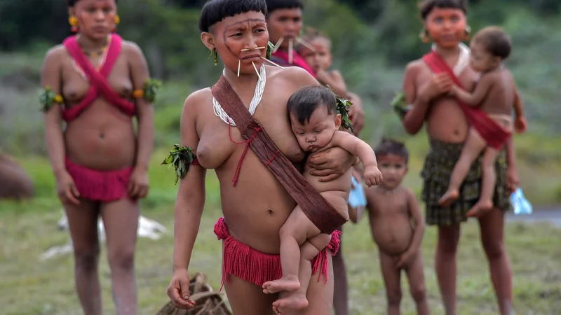 Fotografija: Člani brazilskega etničnega plemena Yanomami so se udeležili testiranja za COVID-19 v Surucucuju, v zvezni državi Roraima. FOTO: Nelson Almeida/Afp