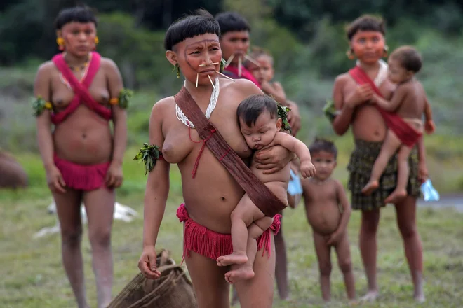 Člani brazilskega etničnega plemena Yanomami so se udeležili testiranja za COVID-19 v Surucucuju, v zvezni državi Roraima. FOTO: Nelson Almeida/Afp