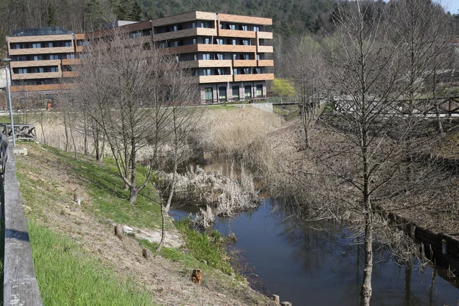 Do jeseni bodo Črnuški bajer spremenili v prijetno točko za sprehajalce. FOTO: Tomi Lombar/Delo