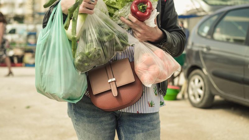 Fotografija: Danes obeležujemo dan brez plastičnih vrečk. Ali ste vedeli, da je za razgradnjo plastičnih vrečk potrebnih od 100 do 500 let. Foto Arimag/ Shutterstock
