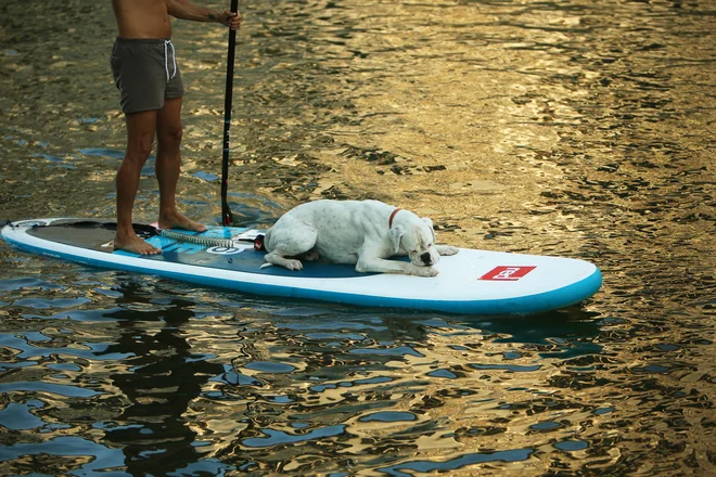 Sup je zanimiv že zato, ker ga vzamemo s seboj tako na morje ali pa z njim preživimo proste urice nedaleč od svojega doma ob reki ali jezeru. FOTO: Jure Eržen/Delo