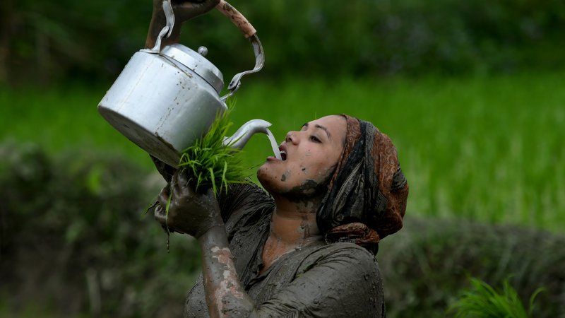 Fotografija: Ženska pije riževo vino, med sajenjem riža na dogodku, ki označuje začetek letne sezone sajenja riža na obrobju Katmanduja. Kmetje v Nepalu praznujejo nacionalni dan riževih polj, ko se začne letna sezona sajenja riža. FOTO: Prakash Mathema/Afp