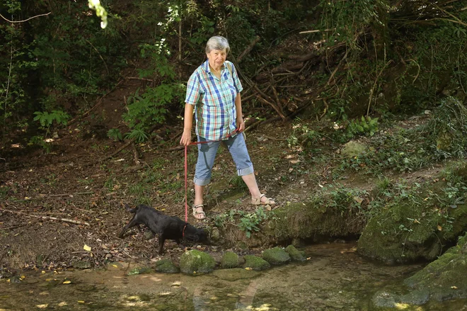Upokojena biologinja Tatjana Kordiš ne razume, zakaj občina ne izkoristi turističnega potenciala Virskega studenca, v katerem živi edinstvena vrsta človeške ribive. FOTO: Leon Vidic