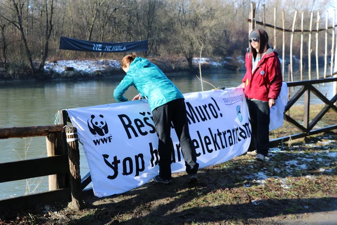 Okoljevarstveniki so proti gradnji hidroelektrarn na Muri že 30 let. FOTO: Jože Pojbič/Delo