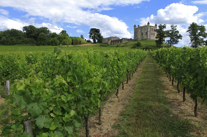 Chateau de Mondabon v vinogradih območja Côtes de Castillon, nedaleč od Bordeauxa Foto Atout France/olivier Roux