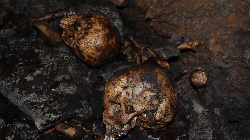 Fotografija: Na kosti so naleteli novomeški jamarji. FOTO: Komisija Vlade RS za reševanje vprašanj prikritih grobišč