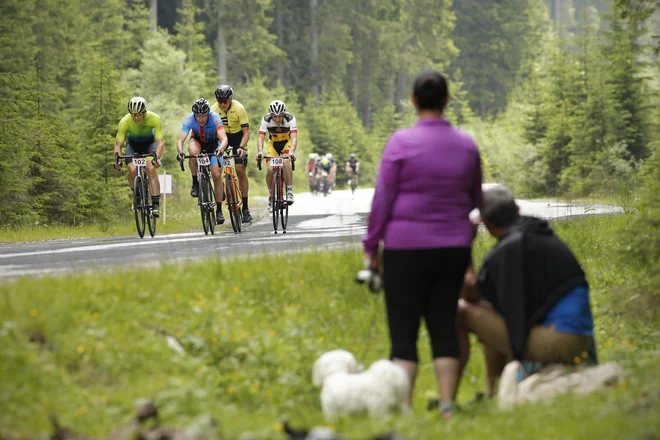 Pa vendar: če očeladenih rekreativcev ni veliko med mrtvimi na asfaltu, je potem vsako razmišljanje o varnosti odveč? FOTO: Jure Eržen