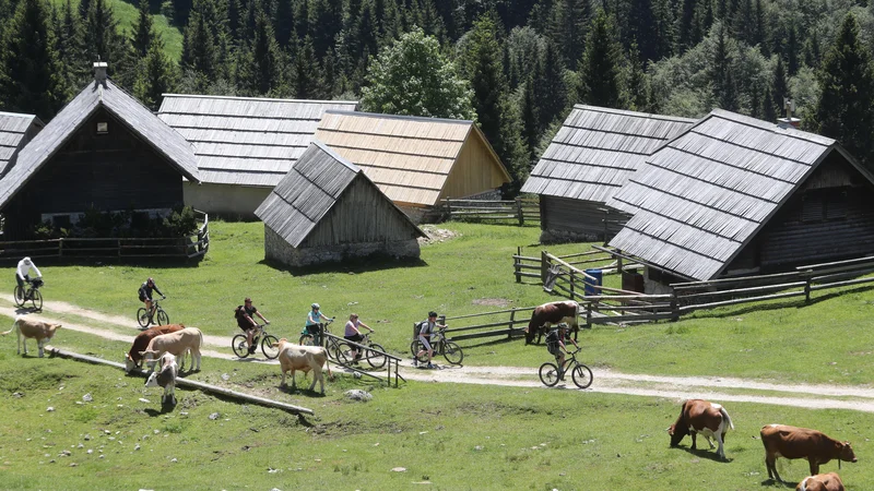 Fotografija: FOTO: Dejan Javornik/Slovenske novice