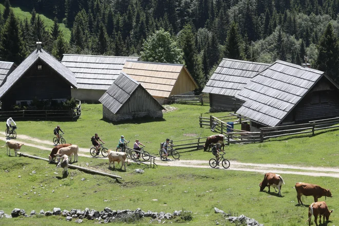 FOTO: Dejan Javornik/Slovenske novice