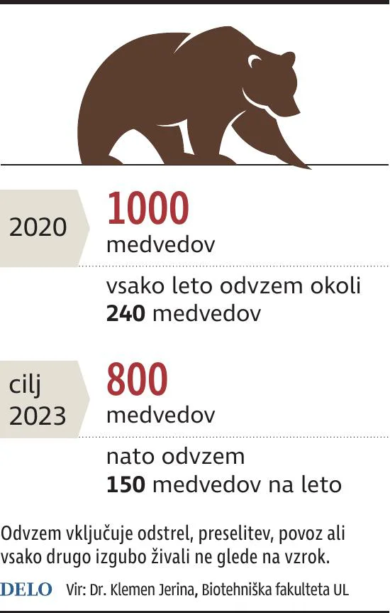 Medvedi