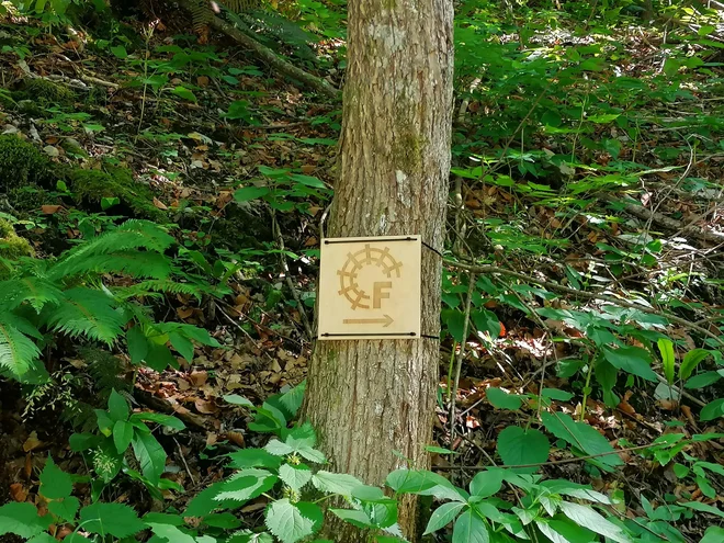 Pot po feldbanu je označena z lesenimi oznakami. FOTO: Anja Intihar