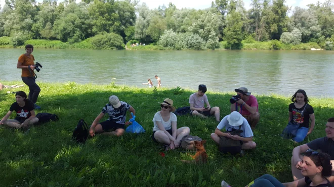 Sava bi se tudi ob Ljubljani po načrtih spremenila v verigo jezer. FOTO: Borut Tavčar/Delo