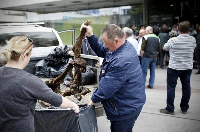 Protest rejcev živine pred ministrstvom za okolje in prostor. FOTO: Blaž Samec/Delo