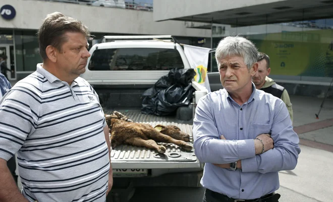Protest rejcev živine pred ministrstvom za okolje in prostor. FOTO: Blaž Samec/Delo