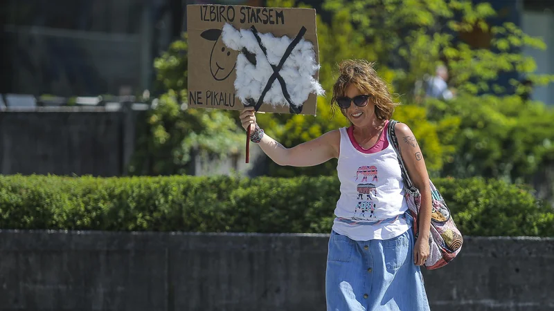 Fotografija: Civilna iniciativa staršev: Programe bi morali izbirati na podlagi otrokovih potreb, ne na podlagi denarja. FOTO: Jože Suhadolnik