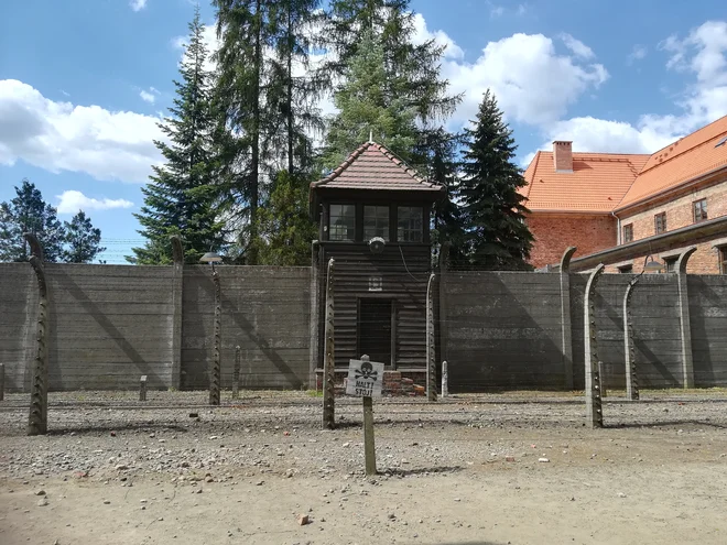 Ko so leta 1947 taborišče spremenili v muzej, so bili prvi vodiči po tem strašnem kraju nekdanji ujetniki. FOTO: Anja Intihar