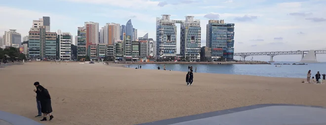 Nedeljski nabiralci morskih sadežev na plaži Dadaepo v Busanu.<br />
FOTO: Brane Maselj