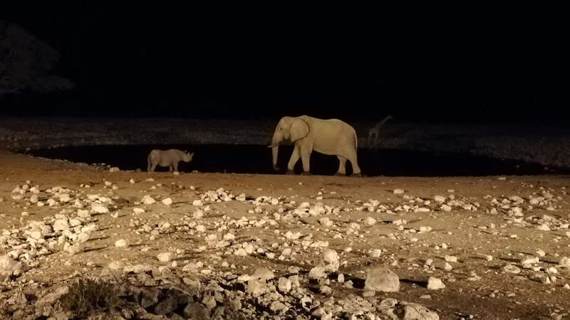 Sedim na klopi ob robu kampa, z nogami na varovalnem zidu, v eni roki hladna pijača, v drugi fotoaparat.
