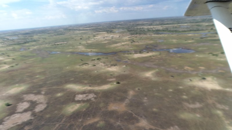 Fotografija: Delta Okavanga v sušni sezoni daje bolj vtis savane kot pa enega največjih celinskih rečnih iztekov.
