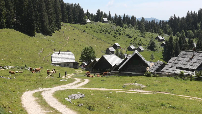 Računajmo, da na eni turi lahko hodimo po gozdu, mokri travi, koreninah, spolzkem blatnem terenu, plezamo po skalah, skobah, prečimo nevarna snežišča, tekajoč sestopamo po več sto metrov dolgem melišču, prečimo potok&nbsp;..&nbsp;FOTO: Dejan Javornik